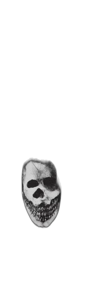 mask, face, shoes, jewelry transparent PNG cut-out