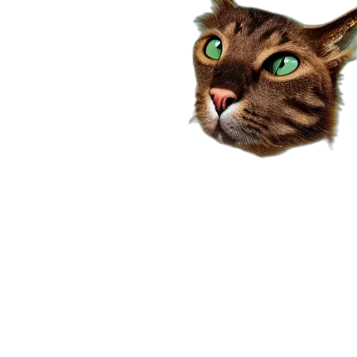 animal, creature, face, staff transparent PNG cut-out