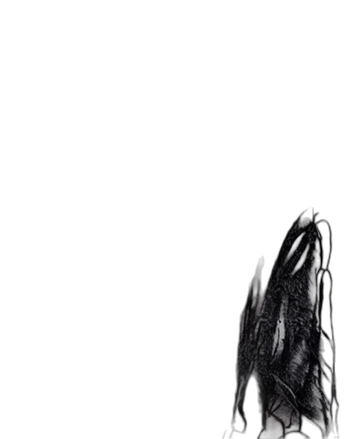 hair, mask, dress, shoes transparent PNG cut-out