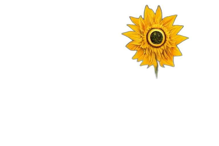 flower, crown, staff, weapon transparent PNG cut-out