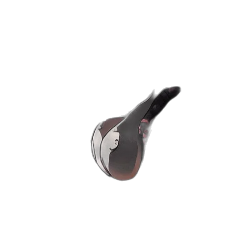 jewelry, shoes, staff, hat transparent PNG cut-out