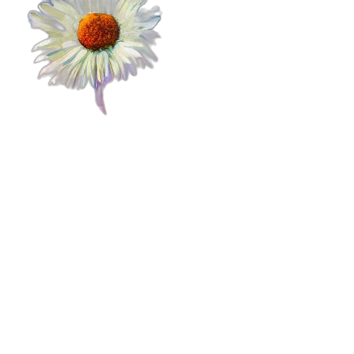 flower, crown, jewelry, staff transparent PNG cut-out