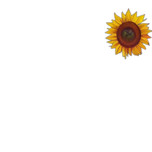 flower, crown, staff, umbrella, pixel art, 3d render, concept art, photorealistic transparent PNG cut-out