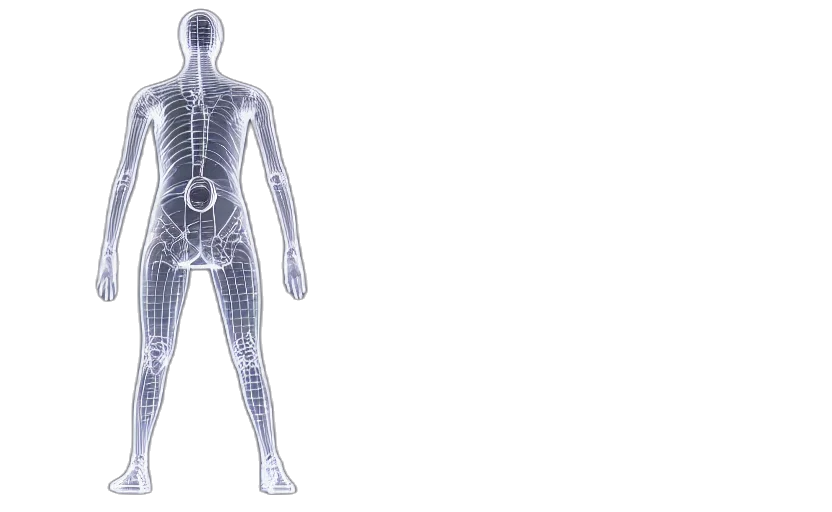 robot, human, performance, wireframe transparent PNG cut-out