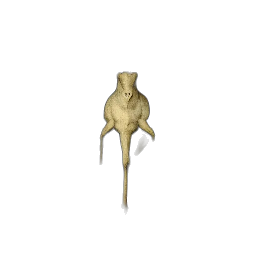 staff, jewelry, creature, animal transparent PNG cut-out