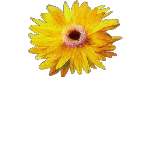 flower, crown, staff, jewelry, photorealistic, 3d render, oil painting, watercolor transparent PNG cut-out