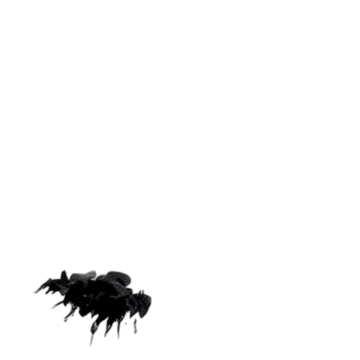 hair, creature, animal, mask, concept art, pixel art, photorealistic, 3d render transparent PNG cut-out