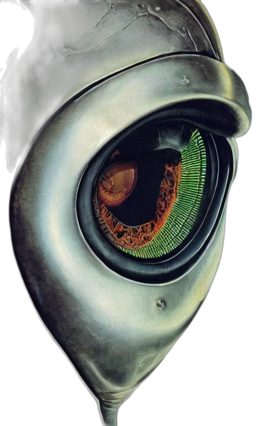mask, robot, face, weapon transparent PNG cut-out