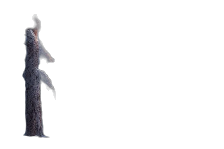 creature, staff, dragon, robot transparent PNG cut-out