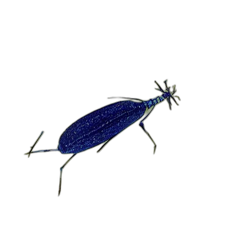 animal, creature, staff, dress transparent PNG cut-out