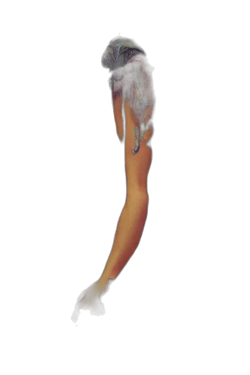 staff, creature, animal, weapon transparent PNG cut-out