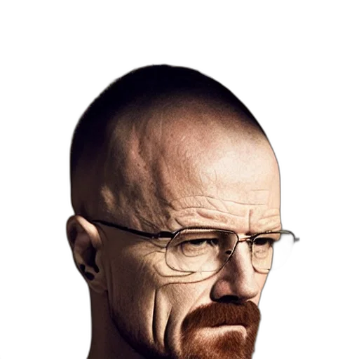 face, animal, hair, staff transparent PNG cut-out