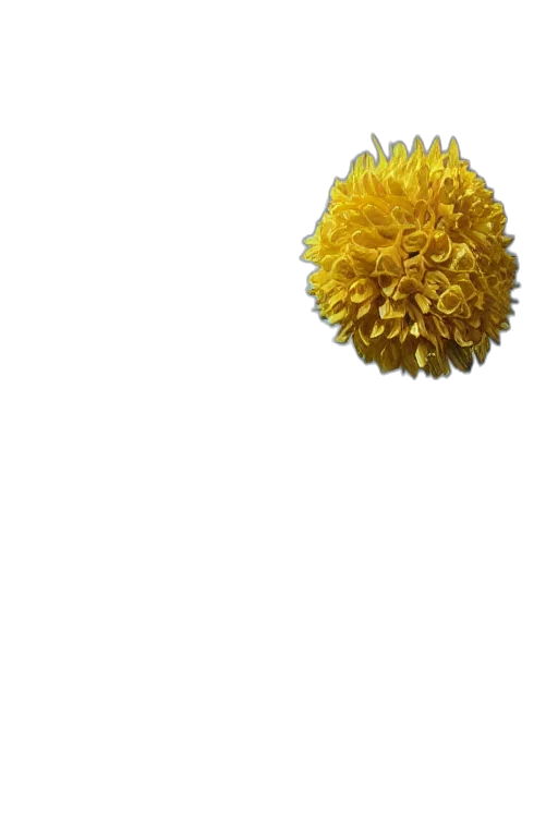 flower, crown, staff, hair, 3d render, photorealistic, pixel art, concept art transparent PNG cut-out