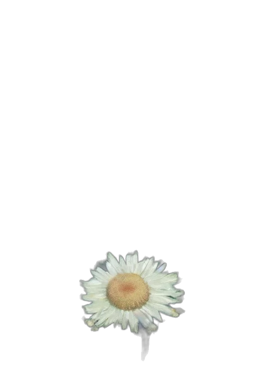 flower, crown, jewelry, staff, photorealistic, 3d render, pixel art, watercolor transparent PNG cut-out