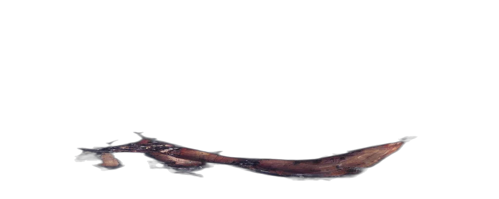 staff, sword, weapon, hair transparent PNG cut-out