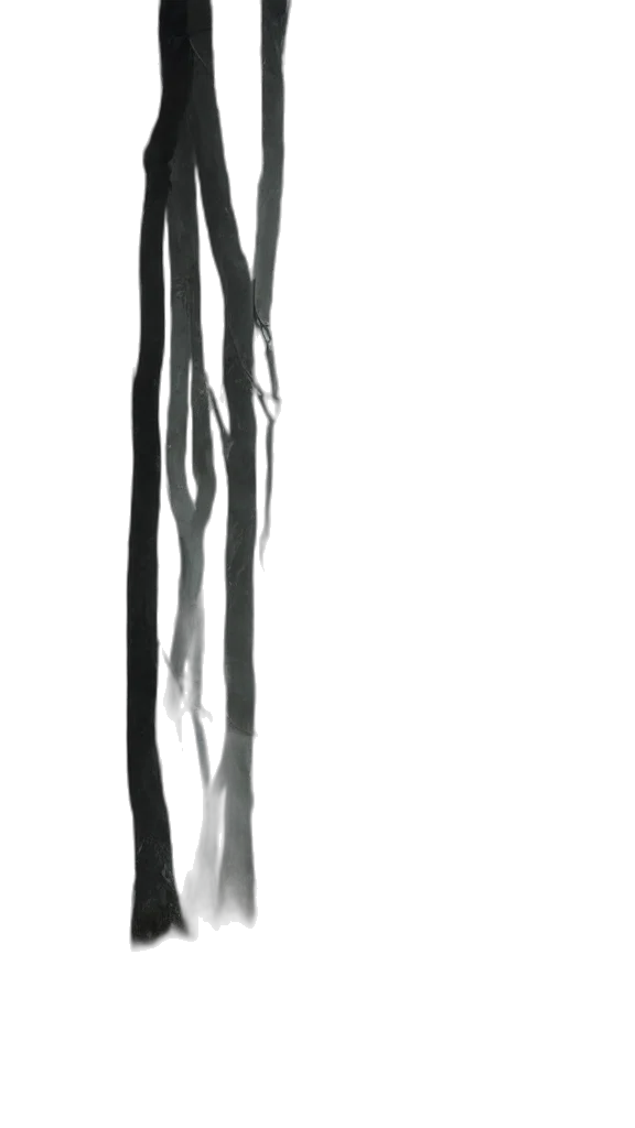 staff, dress, sword, hair transparent PNG cut-out