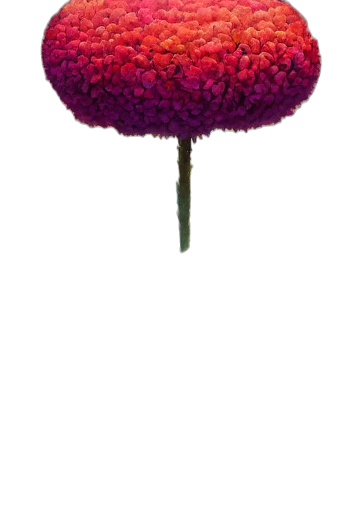 flower, hat, crown, umbrella, 3d render, pixel art, photorealistic, concept art transparent PNG cut-out