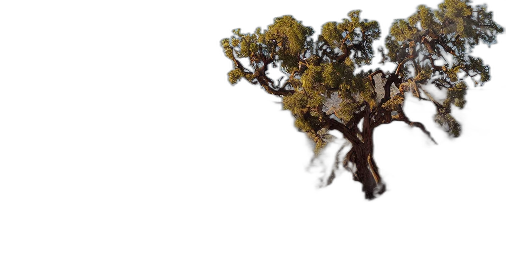tree, hair, crown, dragon transparent PNG cut-out