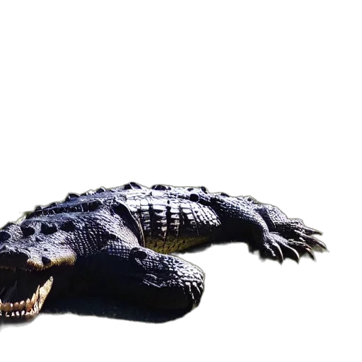 dragon, animal, creature, weapon, 3d render, photorealistic, concept art, pixel art transparent PNG cut-out