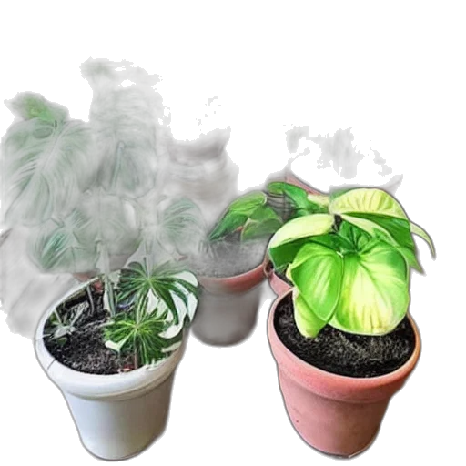 3d render, photorealistic, house, plants, sale, facebook, marketplace transparent PNG cut-out