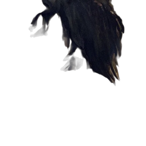 animal, creature, dragon, hair, concept art, photorealistic, 3d render, fantasy art transparent PNG cut-out