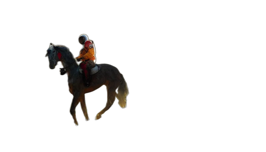 animal, 3d render, american, astronaut transparent PNG cut-out