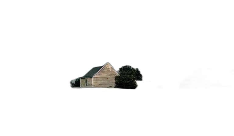 building, hair, tree, umbrella transparent PNG cut-out