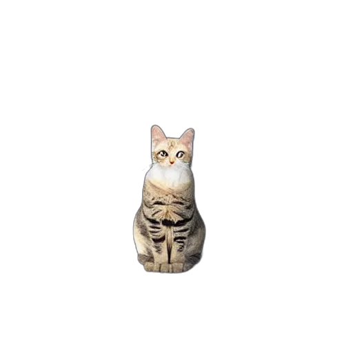 animal, creature, staff, robot, 3d render, photorealistic, pixel art, oil painting transparent PNG cut-out