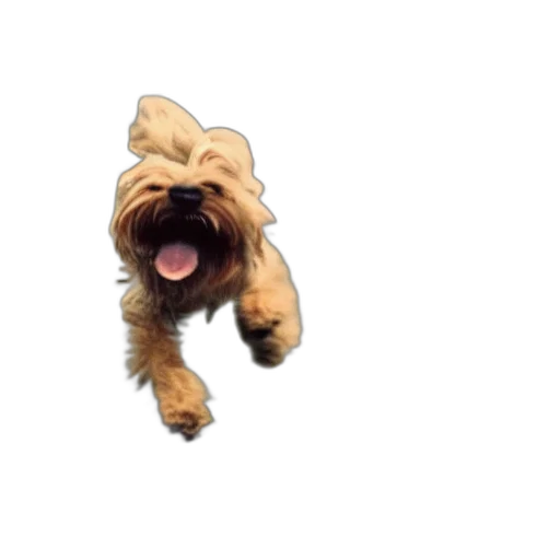 animal, creature, staff, photorealistic transparent PNG cut-out