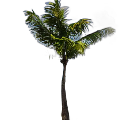 tree, umbrella, staff, hair, photorealistic, 3d render, concept art, beach transparent PNG cut-out