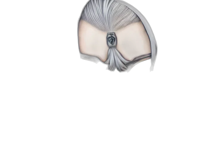 mask, hair, hat, jewelry transparent PNG cut-out