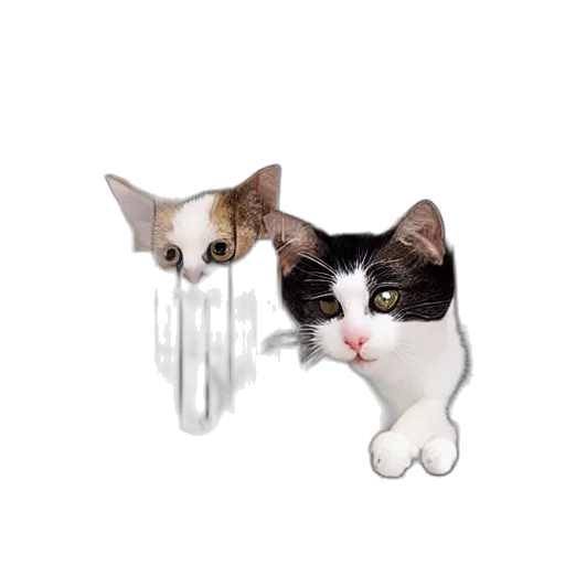 animal, staff, furniture, jewelry, pixel art, 3d render, photorealistic, concept art transparent PNG cut-out