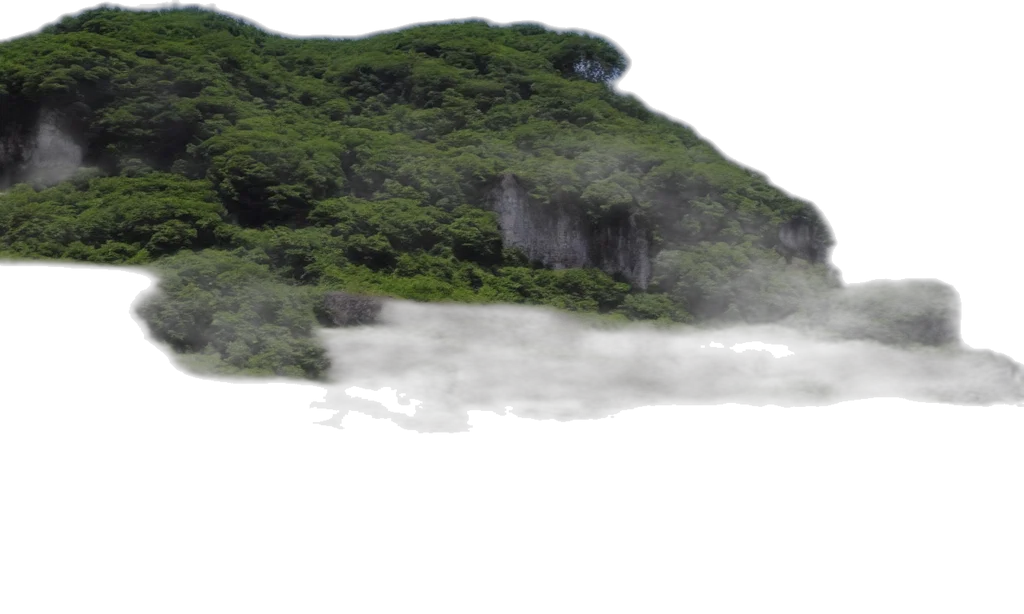 dragon, sword, staff, hair transparent PNG cut-out