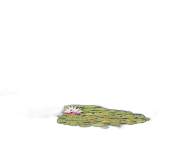 flower, crown, hat, jewelry transparent PNG cut-out