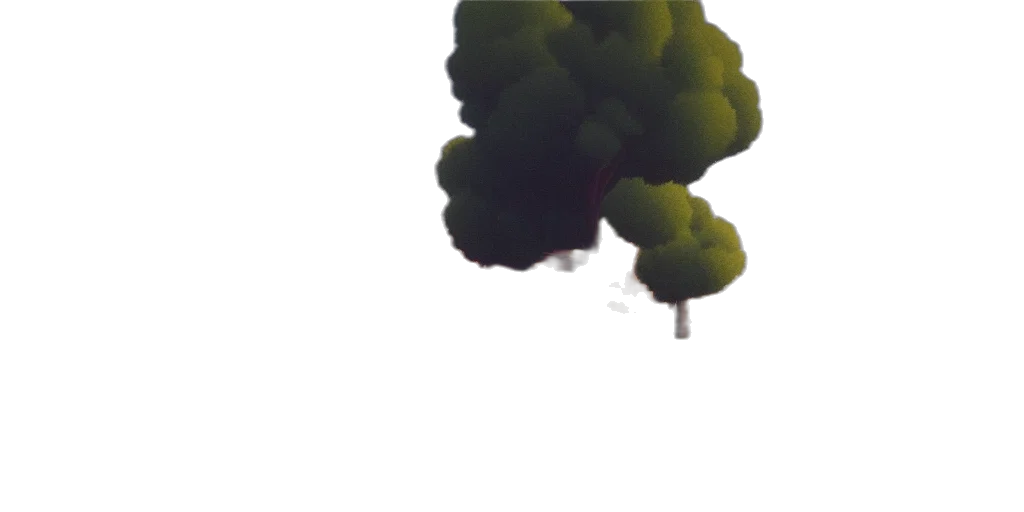 tree, umbrella, crown, car transparent PNG cut-out