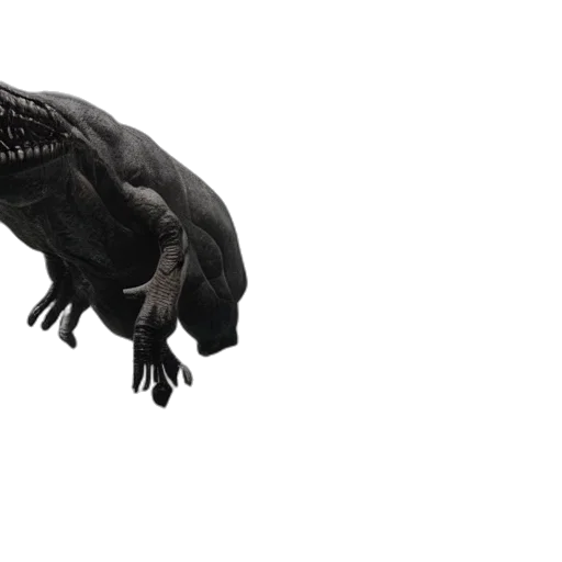 creature, dragon, animal, hat, 3d render, concept art, photorealistic, wide transparent PNG cut-out
