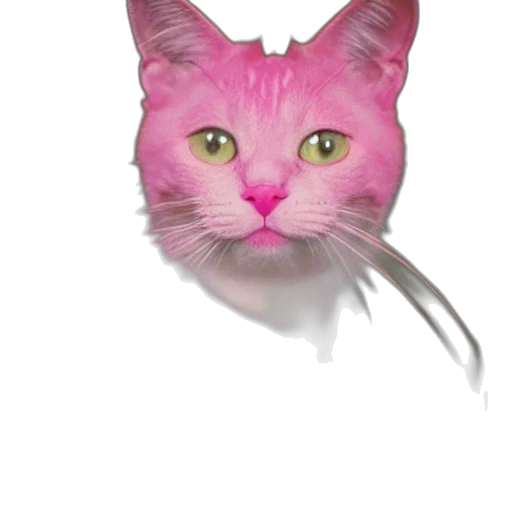 animal, creature, mask, face transparent PNG cut-out