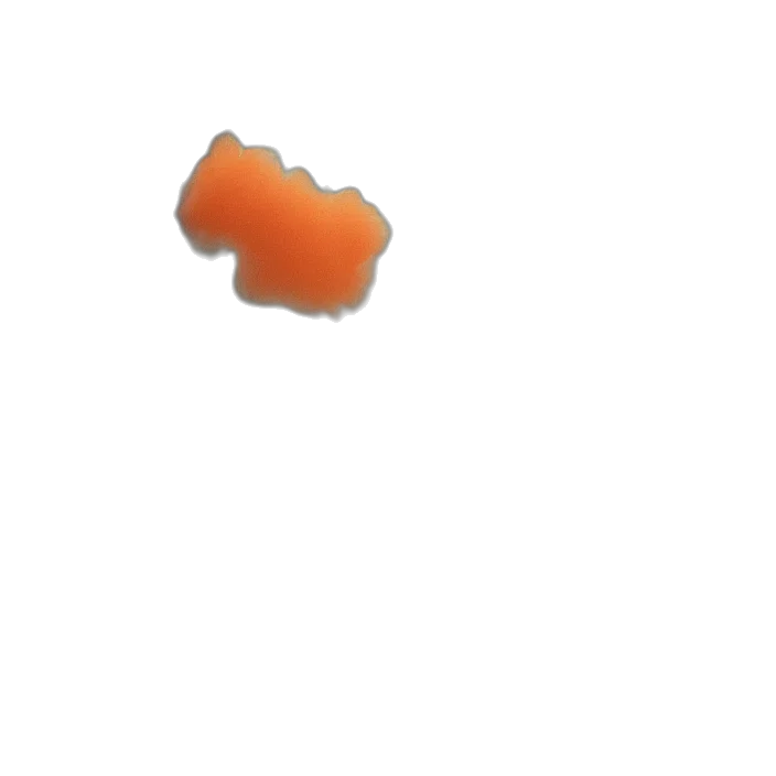 food, weapon, shoes, crown transparent PNG cut-out