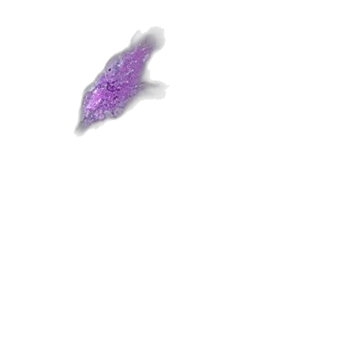 dragon, flower, creature, weapon transparent PNG cut-out
