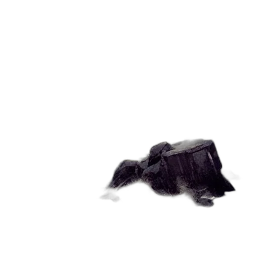 animal, creature, hair, shoes, concept art, 3d render, photorealistic, pixel art transparent PNG cut-out