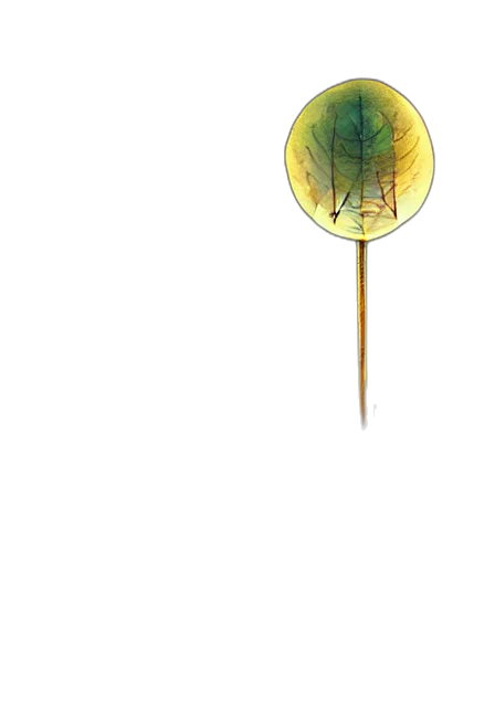 umbrella, staff, flower, weapon, watercolor, concept art, fantasy art, photorealistic transparent PNG cut-out