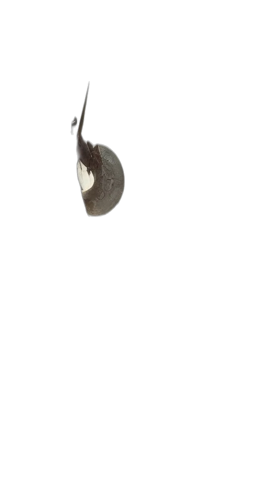 hat, staff, jewelry, hair transparent PNG cut-out