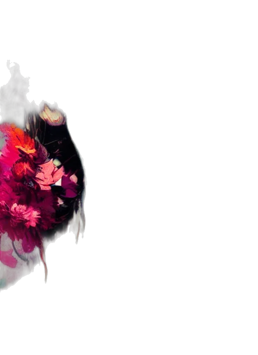 flower, mask, hair, crown transparent PNG cut-out
