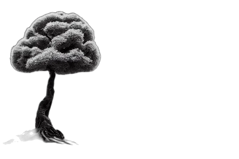 tree, crown, hat, hair, concept art, photorealistic, 3d render, pencil sketch transparent PNG cut-out