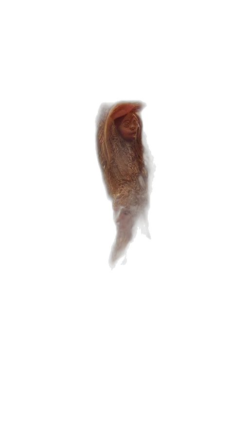 hair, creature, animal, face transparent PNG cut-out