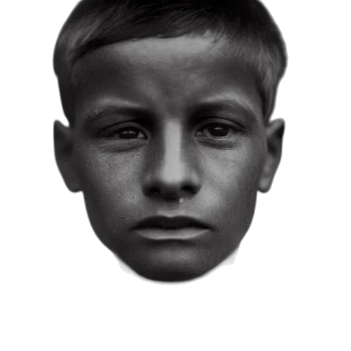 face, mask, hair, crown transparent PNG cut-out