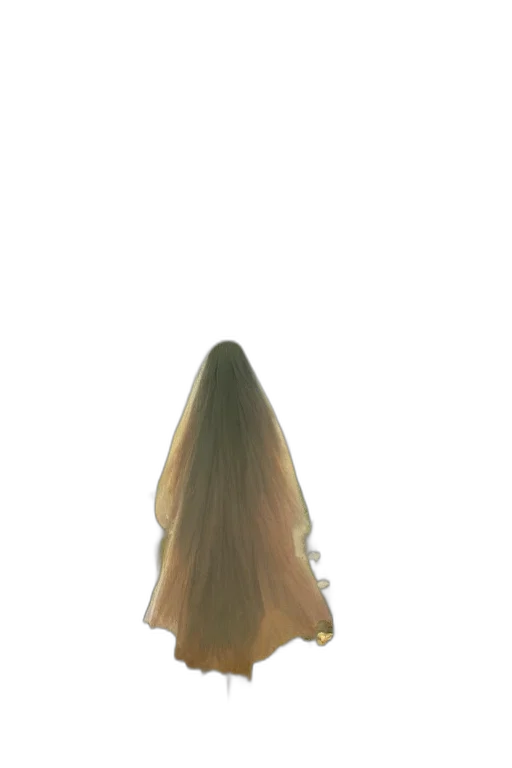 hair, dress, staff, hat transparent PNG cut-out