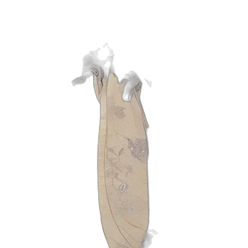 weapon, sword, dress, bottle, 3d render, concept art, photorealistic, fantasy art transparent PNG cut-out