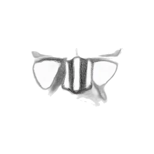 mask, jewelry, crown, shoes, 3d render, pencil sketch, photorealistic, concept art transparent PNG cut-out