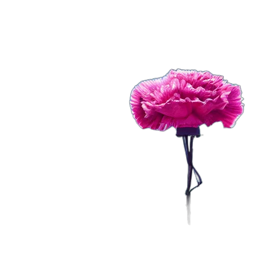 flower, umbrella, crown, hat transparent PNG cut-out